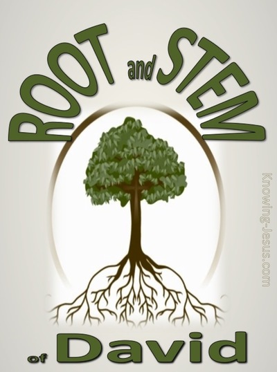 Root and Stem of David - Perfect MAN Eternal SON (14)